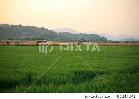 The road I want to walk on, the beautiful road The road I want to walk on, the beautiful road 90247341