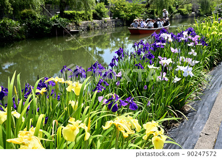 Yanagawa City River rafting digging iris 90247572