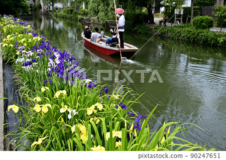 Yanagawa City River rafting digging iris 90247651