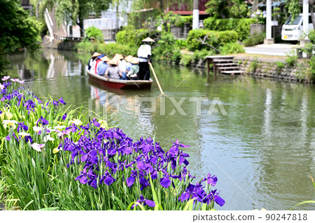 Yanagawa City River rafting digging iris Yanagawa City River rafting digging iris 90247818