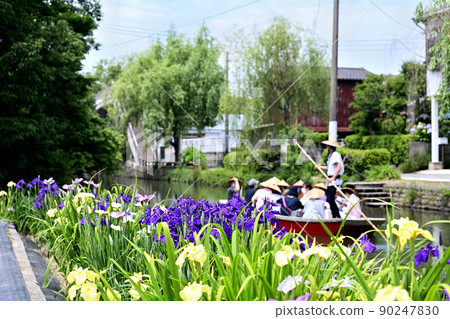 柳川市河漂流挖鳶尾花 90247830