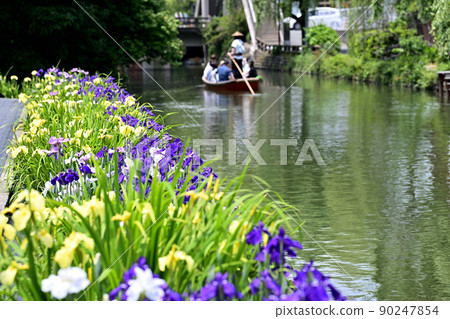Yanagawa City River rafting digging iris Yanagawa City River rafting digging iris 90247854