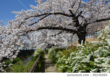 Spring of Tenjingawa Spring of Tenjingawa 90248860