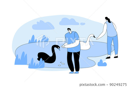 People Spend Time in Animal Park Feeding Swans on Lake. Male and Female Characters Have Outdoors Leisure in Open Air Zoo 90249275