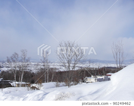 冬天在北海道 90249462