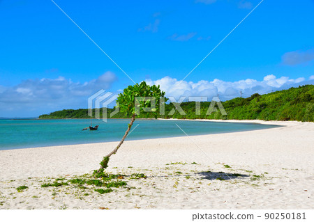 Taketomijima Condoi Beach 90250181