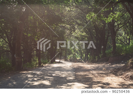 Rural road in the forest near village Rishikesh in Uttarakhand India Rural road in the forest near village Rishikesh in Uttarakhand India 90250436