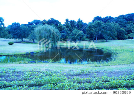 Color flow, river, transparent, transparent (registered in May 2022) 90250999