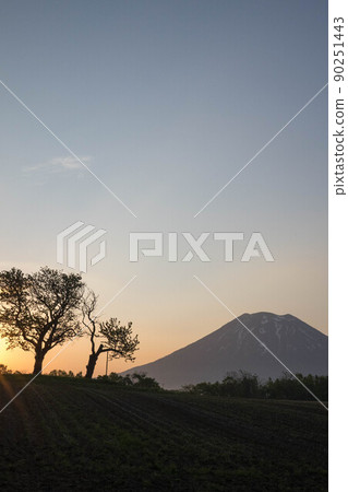 北海道二世古雙子櫻蘭坊羊蹄山早晨 北海道二世古雙子櫻蘭坊羊蹄山早晨 90251443