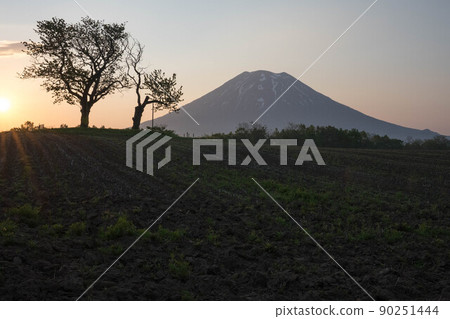 北海道二世古雙子櫻蘭坊羊蹄山早晨 90251444