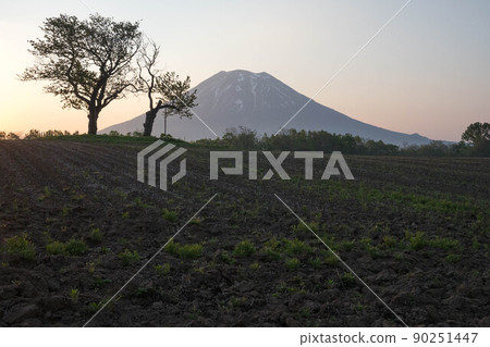 北海道二世古雙子櫻蘭坊羊蹄山早晨 90251447