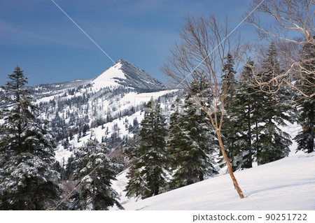 尾瀨的雪山(澀佛山、笠嶽山) 尾瀨的雪山(澀佛山、笠嶽山) 90251722
