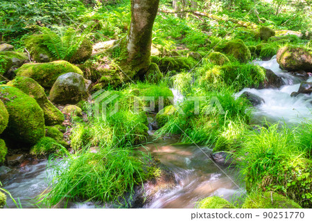 山谷和清澈的溪流 90251770