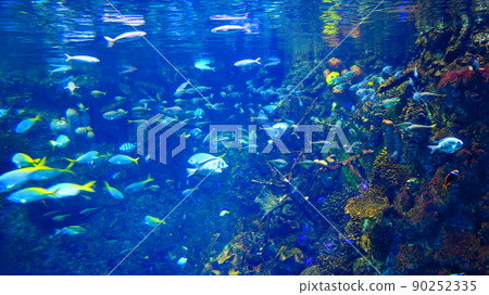在海中 在海中 90252335