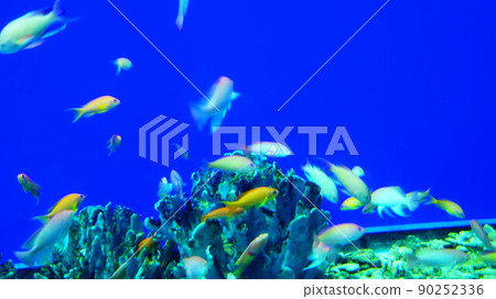 在海中 在海中 90252336