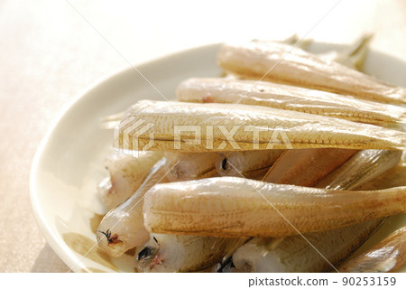 釣魚後自製魚乾(吻) 釣魚後自製魚乾(吻) 90253159