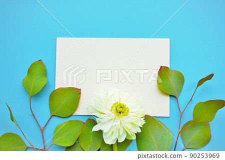 淺藍色背景上白色海葵花和桉樹葉的標題框模型 淺藍色背景上白色海葵花和桉樹葉的標題框模型 90253969