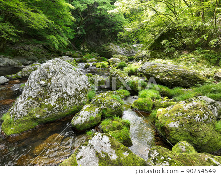 Uchikocho愛媛縣Odagariyama山谷的風景 Uchikocho愛媛縣Odagariyama山谷的風景 90254549