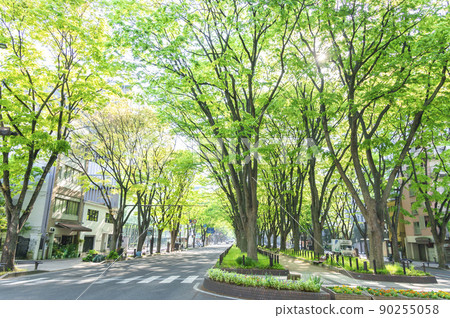 Joshu Temple Street of fresh green 90255058
