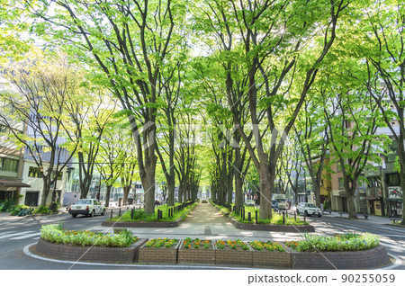 Joshu寺廟街道的新鮮綠色 Joshu寺廟街道的新鮮綠色 90255059