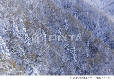 View from Shin-Hotaka Ropeway Autumn Leaves Ropeway Hotaka Mountain Range Snow Mountain Snow Scenery 90255430