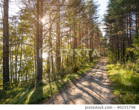 Beautiful sunset on forest road near Kenozero lake. Landscape with walking path and sunlight through row of trees. Hiking in Karelia, Russia. Beautiful sunset on forest road near Kenozero lake. Landscape with walking path and sunlight through row of trees. Hiking in Karelia, Russia. 90255796