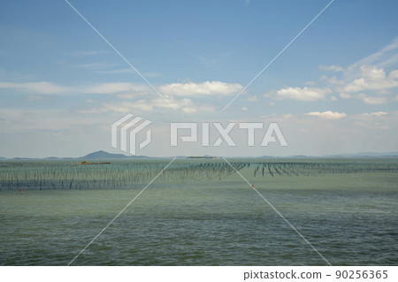 Island of Angels, Island of 1004 90256365