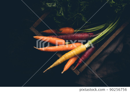 Colorful Rainbow carrot 90256756