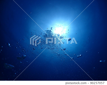 石垣島潛水・從海底俯瞰海面 90257057