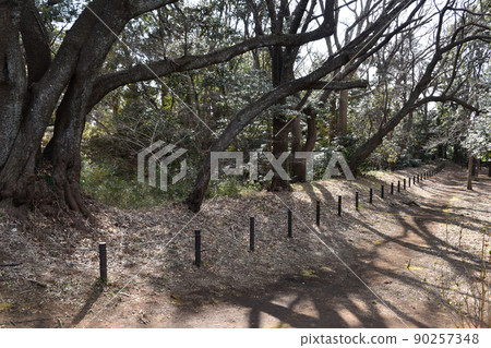 大場城遺址土方和空堀 90257348