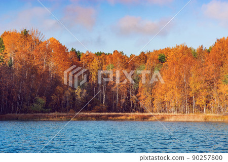 Autumn forest by the lake at evening time. 90257800