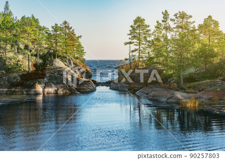 Pine trees on the cliffs of the lake at evening time. 90257803