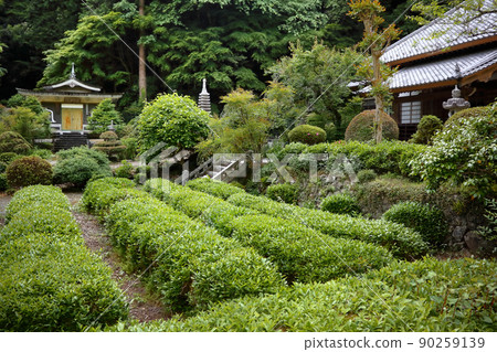 Romantic Ibaraki (It is said that the beginning of tea in the Furuuchi region is that the Zen Master of the Kaisan of Seionji brought back tea fruits from China) 90259139