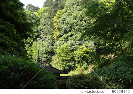 Romantic Ibaraki (Seionji Temple was opened by Yoshiatsu Satake of Hitachi Province, inviting Munemi Tokuan of Zen Buddhism as a family temple of his father's faith.) 90259143