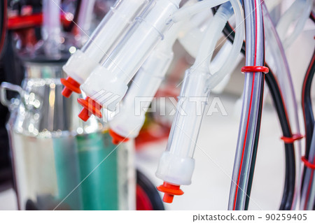 Teat cups of automated cow milking suction machine at exhibition: close up Teat cups of automated cow milking suction machine at exhibition: close up 90259405