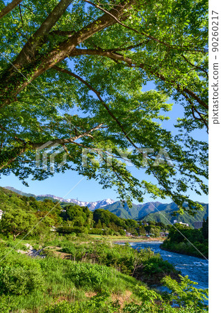(Gunma Prefecture) Minakami Town, a spectacular view of the fresh greenery and the Tanigawa mountain range 90260217