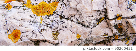 Natural rock stone texture with yellow lichen. 90260431