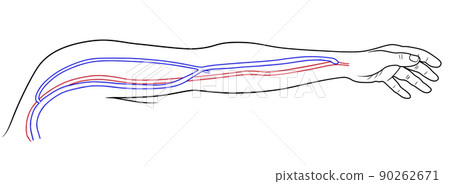 透析分流器的插圖 90262671