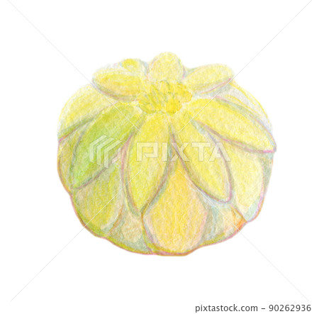 Japanese sweets Neri-kiri watercolor illustration 90262936