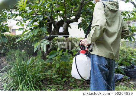 園林樹木消毒 園林樹木消毒 90264859