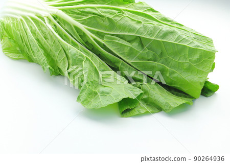 Chinese cabbage outer leaves Chinese cabbage outer leaves 90264936