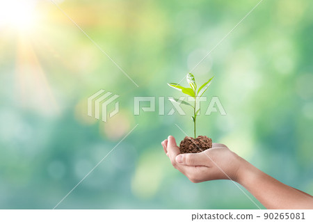 Hand holding seedling over blurred green nature background. Concept of plant growth and eco friendly 90265081