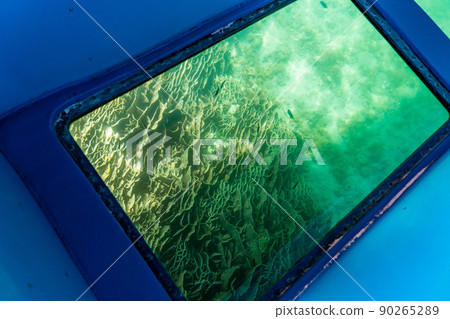 Tosashimizu City, Kochi Prefecture, Japan's largest community of coral coral that can be seen on the seabed from the Tatsukushi coast to the coast left behind 90265289