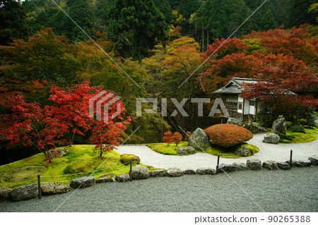 秋天的京都高知谷阿彌陀寺 90265388