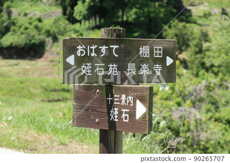 稻田的招牌 90265707