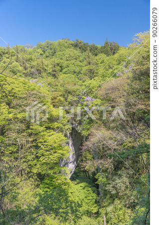 新鮮的綠色羅生門 90266079