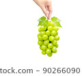 Hand holding a beautiful bunch of Shine Muscat grape, isolated on white background 90266090