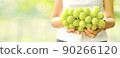 Big bunch of fresh green Shine Muscat grape in woman hand with blurred vineyard background 90266120