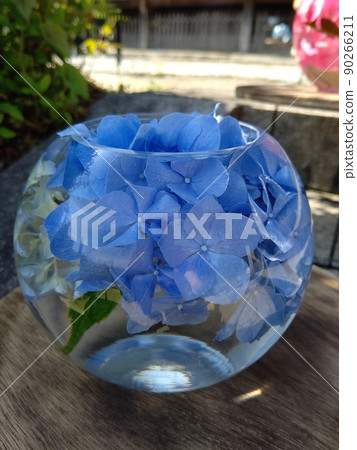 Beautiful hydrangea in a glass ball that shines in light and water Beautiful hydrangea in a glass ball that shines in light and water 90266211