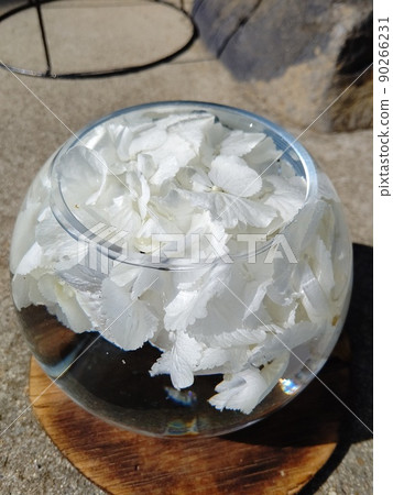Beautiful hydrangea in a glass ball that shines in light and water Beautiful hydrangea in a glass ball that shines in light and water 90266231